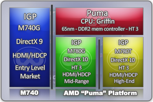 AMD-Puma.jpg